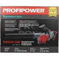 Ручная воздуходувка Profipower DWDUB-20V (с 1-им АКБ) - Превью изображения №12 — Интернет-магазин Time-Shop