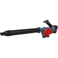 Ручная воздуходувка Profipower DWDUB-20V (с 1-им АКБ) - Превью изображения №9 — Интернет-магазин Time-Shop