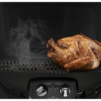 Портативный газовый гриль Napoleon TravelQ 285-1 - Превью изображения №4 — Интернет-магазин Time-Shop