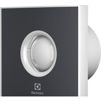 Electrolux Rainbow EAFR-150 (темно-серый)