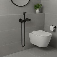 Гигиенический душ Lauter Sano 21LT1292BM - Превью изображения №5 — Интернет-магазин Time-Shop