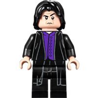 Конструктор LEGO Harry Potter 75953 Гремучая ива - Превью изображения №10 — Интернет-магазин Time-Shop