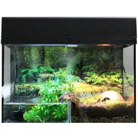 Lucky Reptile Стартовый комплект для амфибий SK80BP-B (черный)