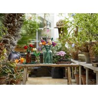 Конструктор LEGO Creator 10281 Бонсай - Превью изображения №24 — Интернет-магазин Time-Shop