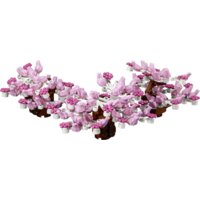 Конструктор LEGO Creator 10281 Бонсай - Превью изображения №12 — Интернет-магазин Time-Shop