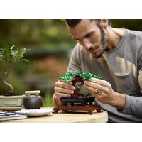 Конструктор LEGO Creator 10281 Бонсай - Превью изображения №19 — Интернет-магазин Time-Shop