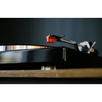 Виниловый проигрыватель Rekkord Audio M600 (без звукоснимателя, черный матовый) - Превью изображения №4 — Интернет-магазин Time-Shop
