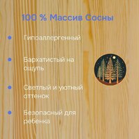 Кровать-домик Диприз Loki 120х200 Д.80063.2 (без отделки) - Превью изображения №8 — Интернет-магазин Time-Shop