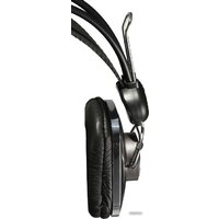 Наушники SVEN AP-600 - Превью изображения №2 — Интернет-магазин Time-Shop