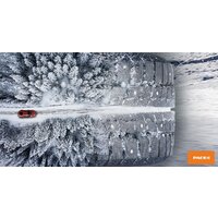 Зимние шины Pace Antarctica Ice 215/55R17 94T (шипы) - Превью изображения №2 — Интернет-магазин Time-Shop