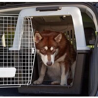 Переноска Ferplast Atlas Classic 60 73060021 (серый/черный) - Превью изображения №8 — Интернет-магазин Time-Shop