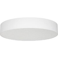 Arlight SP-TOR-PILL-PRISM-R600-50W Day4000 (WH, 100 deg) 022130(3)