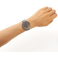 Наручные часы Skagen SKW6387 - Превью изображения №3 — Интернет-магазин Time-Shop