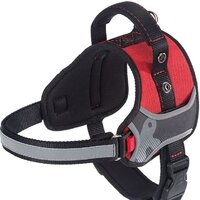 Ferplast Hercules P XL 75468522 (красный)