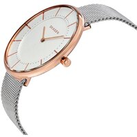 Наручные часы Skagen SKW2583 - Превью изображения №2 — Интернет-магазин Time-Shop