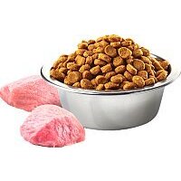 Корм для собак Farmina N&D Grain Free Pumpkin Lamb & Blueberry Adult Mini (7кг) - Превью изображения №2 — Интернет-магазин Time-Shop