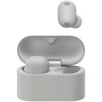 Sony WF-1000XM6 (серый)