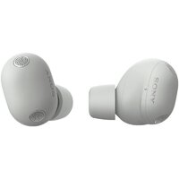 Наушники Sony WF-1000XM6 (серый) - Превью изображения №5 — Интернет-магазин Time-Shop