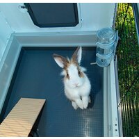 Клетка Ferplast Grand Lodge Plus 120 57087800 - Превью изображения №3 — Интернет-магазин Time-Shop