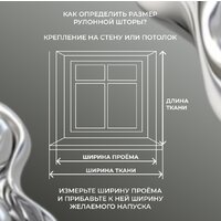Рулонные шторы Franc Gardiner Blackout Silver 200x175 9403219806 (черный) - Превью изображения №9 — Интернет-магазин Time-Shop