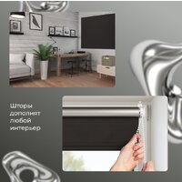Рулонные шторы Franc Gardiner Blackout Silver 200x175 9403219806 (черный) - Превью изображения №3 — Интернет-магазин Time-Shop