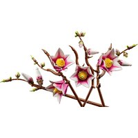 Конструктор LEGO Botanicals 11510 Ветви магнолии - Превью изображения №2 — Интернет-магазин Time-Shop