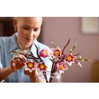 Конструктор LEGO Botanicals 11510 Ветви магнолии - Превью изображения №10 — Интернет-магазин Time-Shop