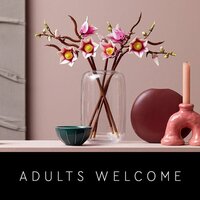 Конструктор LEGO Botanicals 11510 Ветви магнолии - Превью изображения №11 — Интернет-магазин Time-Shop