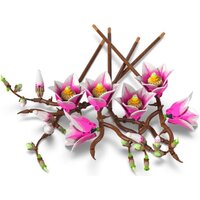 Конструктор LEGO Botanicals 11510 Ветви магнолии - Превью изображения №4 — Интернет-магазин Time-Shop