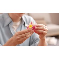 Конструктор LEGO Botanicals 11510 Ветви магнолии - Превью изображения №12 — Интернет-магазин Time-Shop