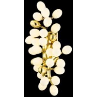 Wertmark Olivia WE232.23.301