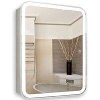 Silver Mirrors Шкаф с зеркалом Фиджи flip 60x80 LED-00002472