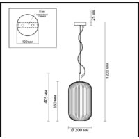 Подвесная люстра Odeon Light Roofi 4751/1 - Превью изображения №2 — Интернет-магазин Time-Shop