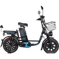 Smart Balance Master 2024