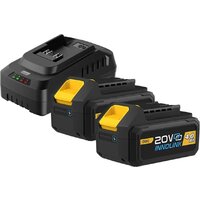 Deli EDL-CM20A4E (20В/2x4 Ah + 20В)