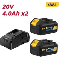 Аккумулятор с зарядным устройством Deli EDL-CM20A4E (20В/2x4 Ah + 20В) - Превью изображения №2 — Интернет-магазин Time-Shop