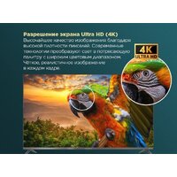 Телевизор MAUNFELD MLT43USD02G - Превью изображения №17 — Интернет-магазин Time-Shop