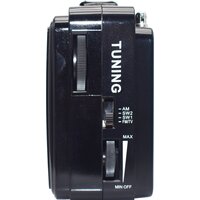 Радиоприемник Miru SR-1021 - Превью изображения №4 — Интернет-магазин Time-Shop