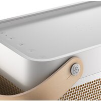 Беспроводная колонка Bang & Olufsen Beolit 20 (серый) - Превью изображения №10 — Интернет-магазин Time-Shop