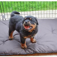 Манеж Ferplast Dog training 73300025 - Превью изображения №5 — Интернет-магазин Time-Shop