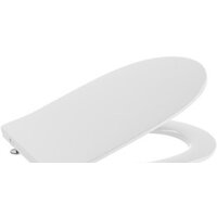 Roca Meridian Gap CleanRim 801D12003