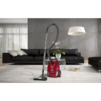 Пылесос Concept VP8224 - Превью изображения №16 — Интернет-магазин Time-Shop