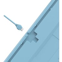 Клавиатура A4Tech Fstyler FS300 Panda Snowboarding - Превью изображения №14 — Интернет-магазин Time-Shop