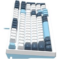 Клавиатура A4Tech Fstyler FS300 Panda Snowboarding - Превью изображения №9 — Интернет-магазин Time-Shop