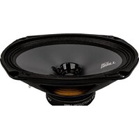 Широкополосная АС ACV DR69 Drall - Превью изображения №3 — Интернет-магазин Time-Shop