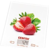 CENTEK CT-2462