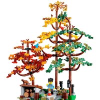 Конструктор LEGO Ideas 21338 Сельский домик - Превью изображения №9 — Интернет-магазин Time-Shop