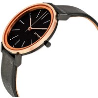 Наручные часы Skagen SKW2490 - Превью изображения №4 — Интернет-магазин Time-Shop