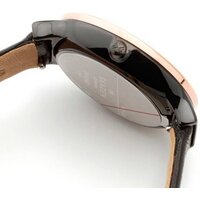 Наручные часы Skagen SKW2490 - Превью изображения №5 — Интернет-магазин Time-Shop