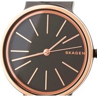 Наручные часы Skagen SKW2490 - Превью изображения №3 — Интернет-магазин Time-Shop